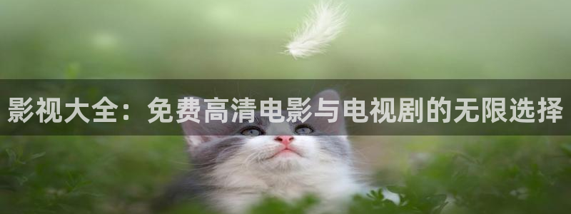 红叶影视下载