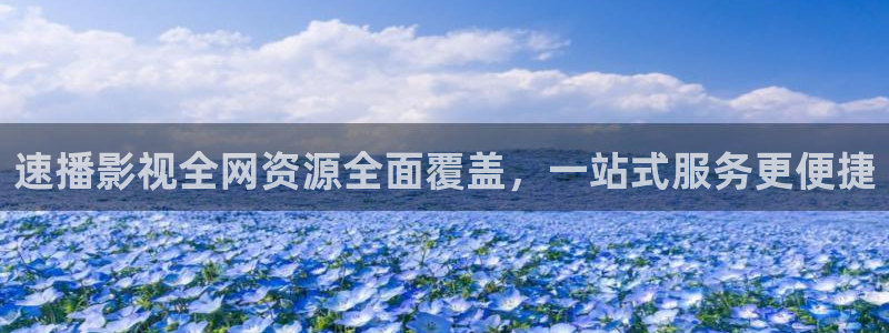六安红叶影城电影