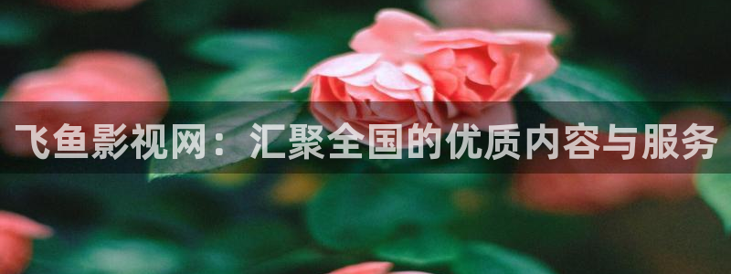 六安红叶影城今日电影
