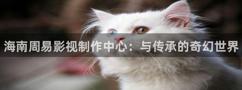 六安红叶影城电影