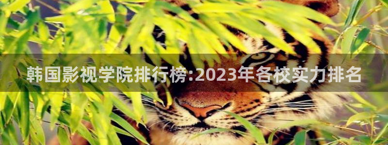 红叶影视app官方下载