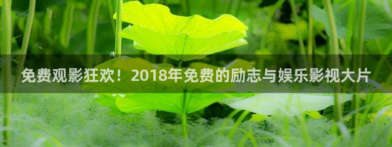 六安红叶影城今日电影