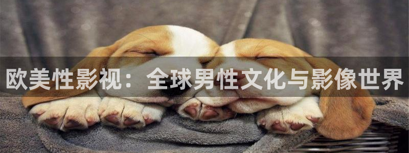红叶影视下载