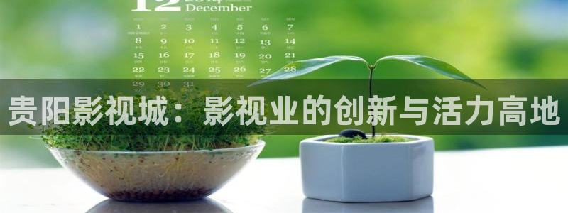 红叶影视完整版：贵阳影视城：影视业的创新与活力高地