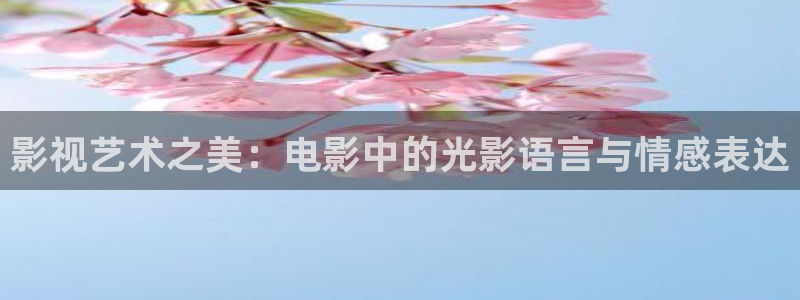 西安红叶影城