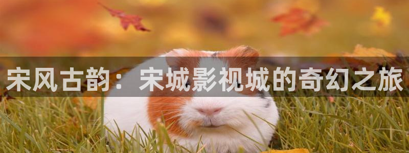 红叶电影今日影讯